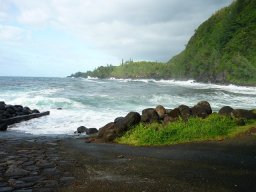 Visite de la petite cousine !